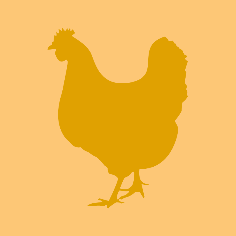 Picto représentant une poule