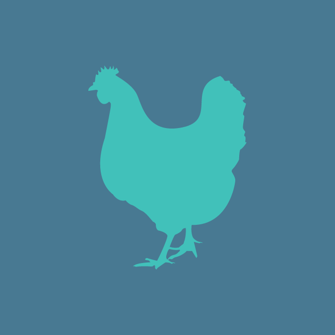 Picto réprésentant la silhouette d'une poule
